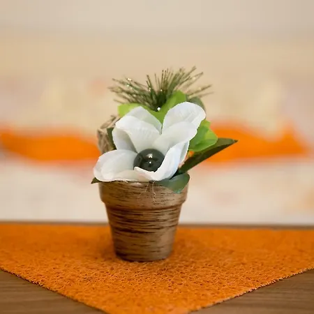 Couette-café Resman Bohinj